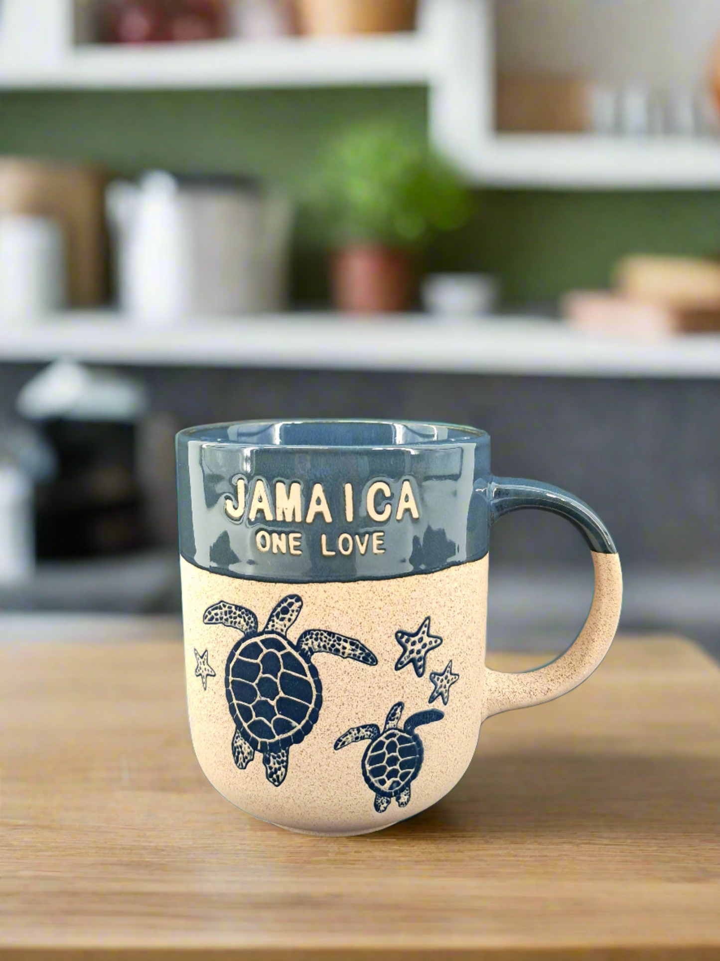 Sandy Coffee Mug-Turtle